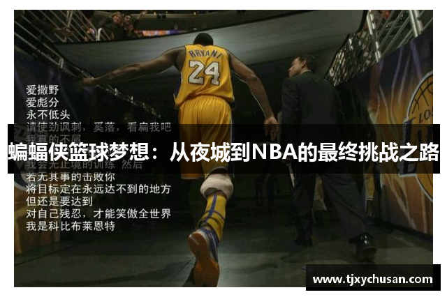 蝙蝠侠篮球梦想：从夜城到NBA的最终挑战之路